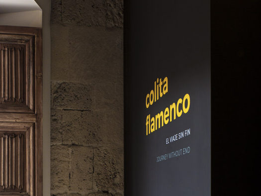 Colita Flamenco. El viaje sin fin